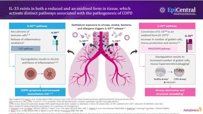 COPD ATS slides thumbnail